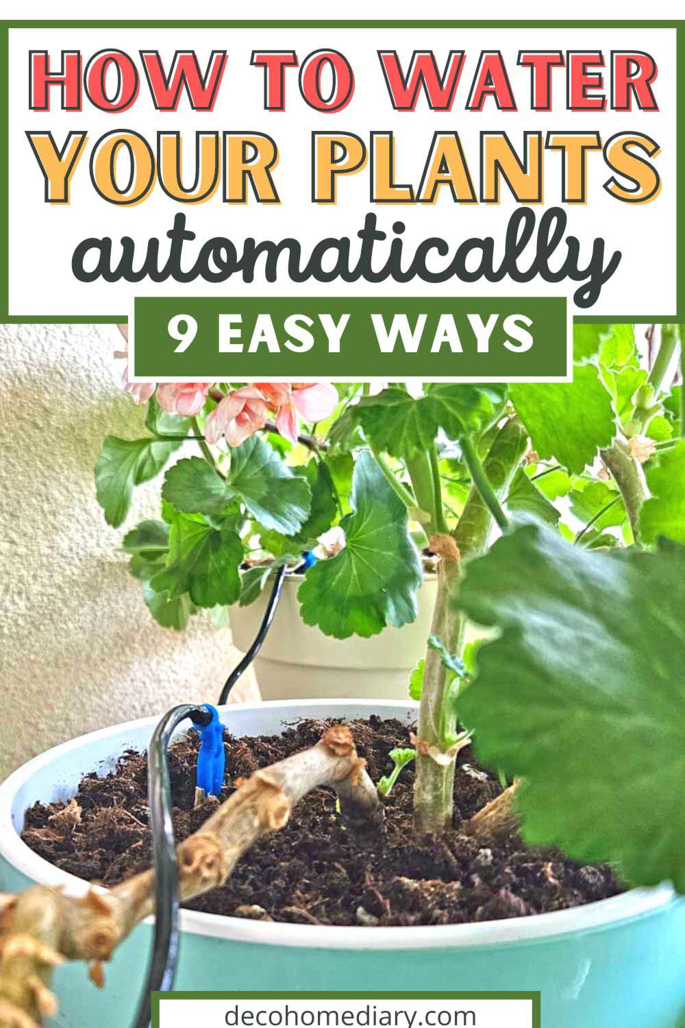 how to automatically water potted plants - pin